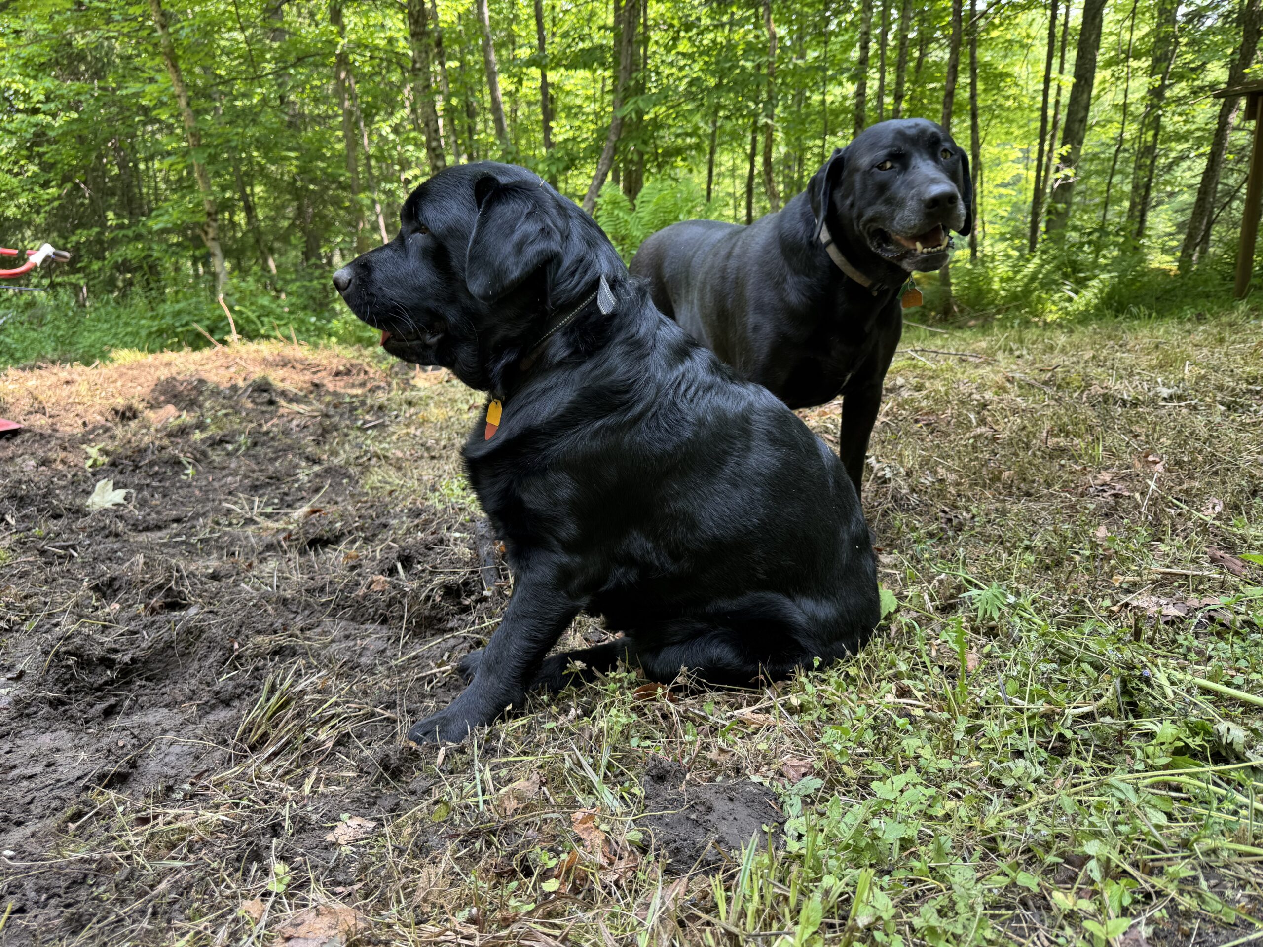 Waylon and Dalton, official keepers of the smiles